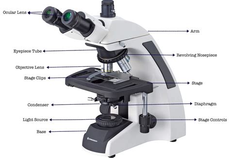 Understanding Microscopes and Objectives .